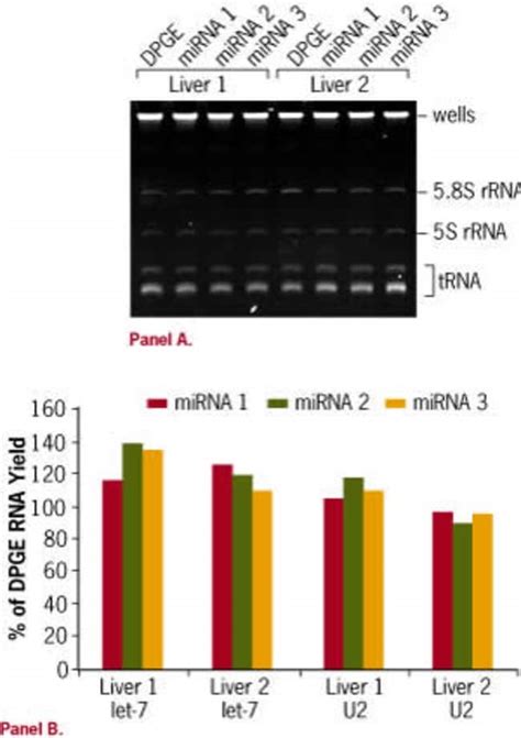 mirvana mirna isolation kit protocol|mirVana™ PARIS™ Kit Protocol (PN 1556M Rev C).